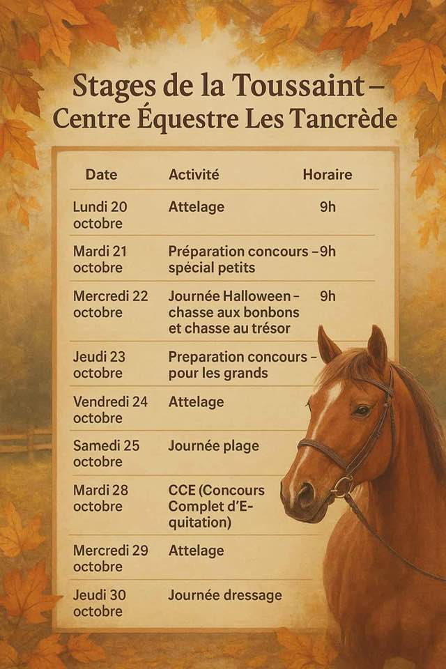 Stages de la toussaint